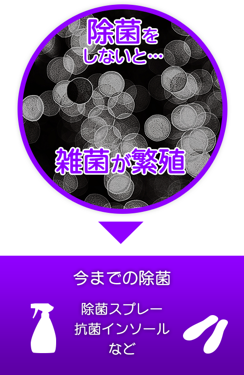 菌が大繁殖。その対策はスプレーやオゾン